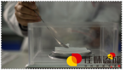 沙棘和白刺开发饮料配方